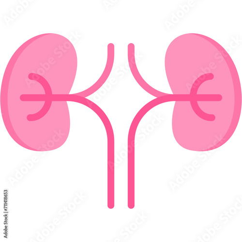 Nephrology Icon