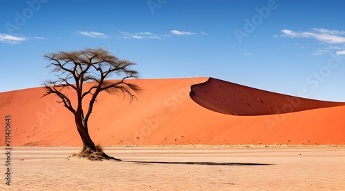 red sand dunes and skeletal trees in Sossusvlei in the Namib Desert , South Africa