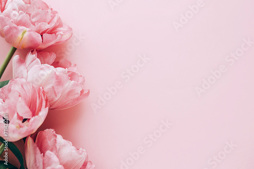 Beautiful pink tulips flat lay on pink background. Stylish floral border with space for text. Happy Valentines day and happy mother's day. Tender pink flowers template