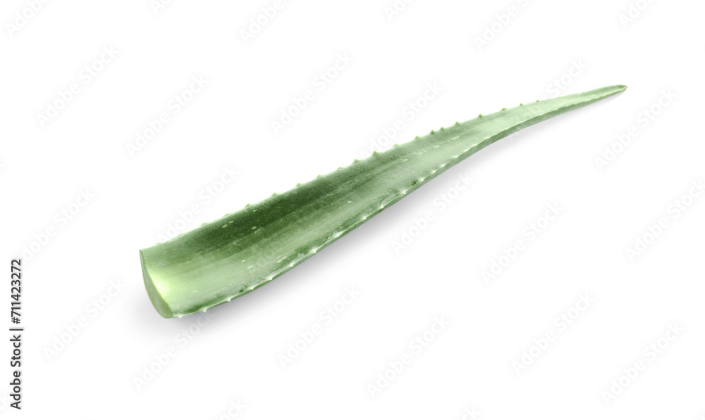 Green aloe vera leaf isolated on white Green aloe vera leaf isolated on white