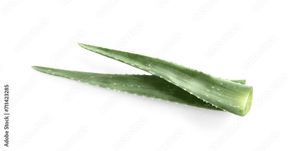 Green aloe vera leaves isolated on white Green aloe vera leaves isolated on white