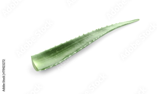 Green aloe vera leaf isolated on white