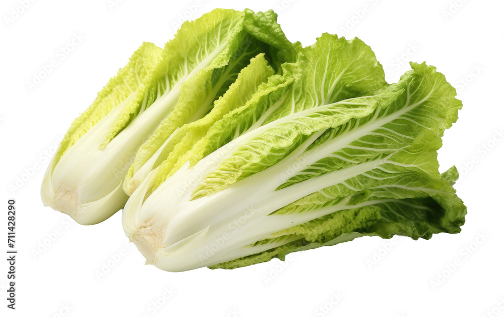 Discovering the Delicate Flavors of Napa Cabbage on White or PNG Transparent Background Discovering the Delicate Flavors of Napa Cabbage on White or PNG Transparent Background