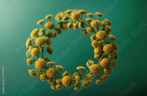 wreath of chamomile flowers around copyspace with selective focus. space for text.