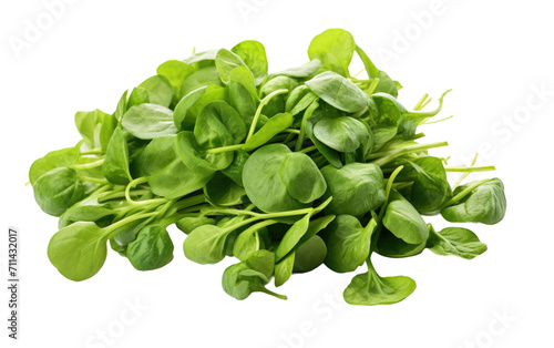 The Vibrant Flavor and Nutrient Richness of Fresh Watercress on White or PNG Transparent Background