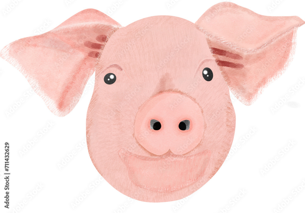 Pig 