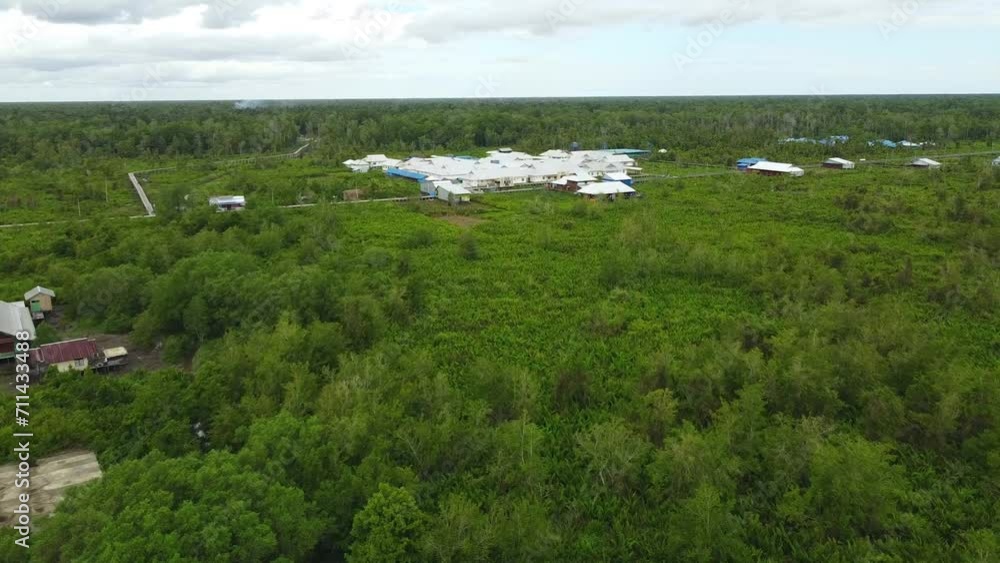 beautiful view with a drone of the city of Agats Asmat Papua with forests and swamps beautiful view with a drone of the city of Agats Asmat Papua with forests and swamps