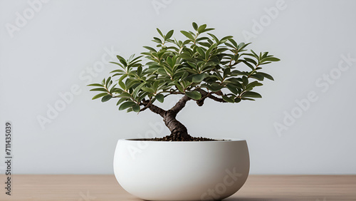 A unique take on the traditional bonsai plant  with a modern twist and a sleek  minimalist clay pot  showcasing the beauty of simplicity and balance