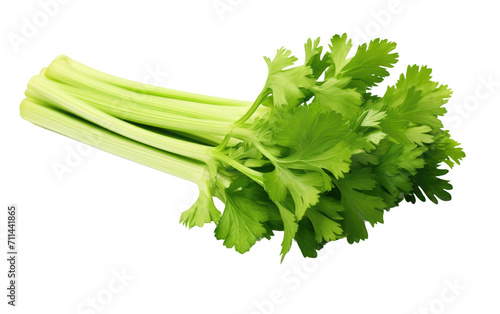 Elevating Dishes with Fresh Celery on White or PNG Transparent Background