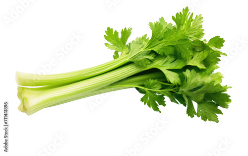 Savoring the Crispy Joy of Celery on White or PNG Transparent Background