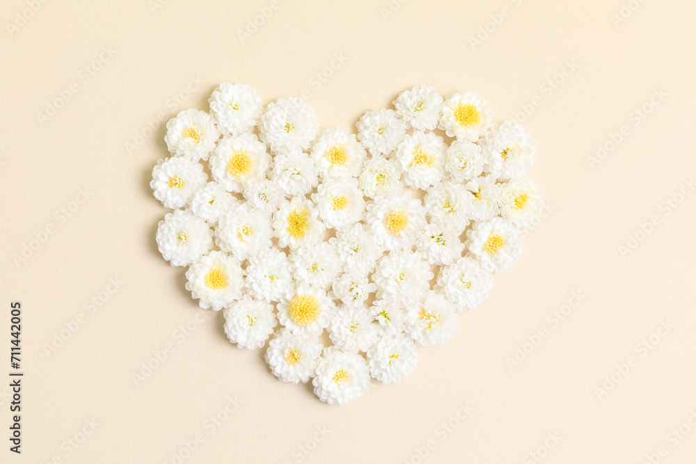 Heart made of white chrysanthemum flowers on beige background. Creative spring idea, stylish trendy greeting card. Natural minimal concept. Flowers heart. Flat lay, top view. Peach fuzz color Heart made of white chrysanthemum flowers on beige background. Creative spring idea, stylish trendy greeting card. Natural minimal concept. Flowers heart. Flat lay, top view. Peach fuzz color