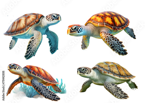 Fototapeta Naklejka Na Ścianę i Meble -  Sea Turtle PNG