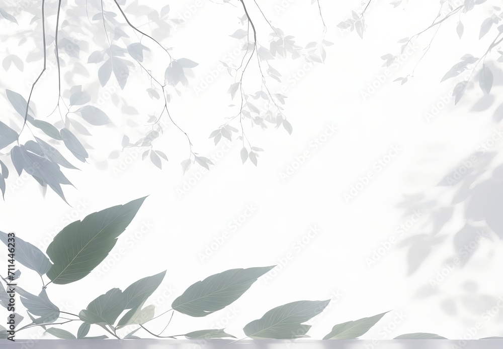 Obraz premium Shadow overlay effect Transparent soft light