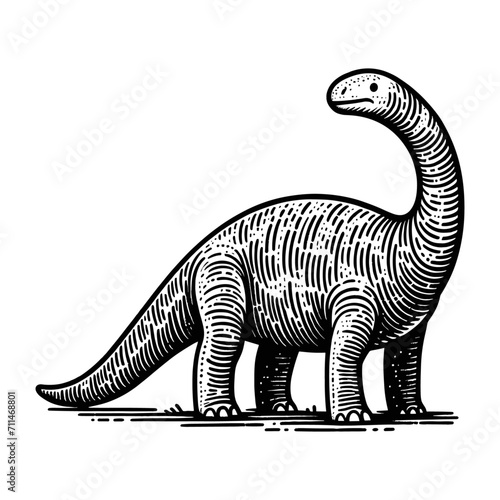 dinosaur barosaurus sketch