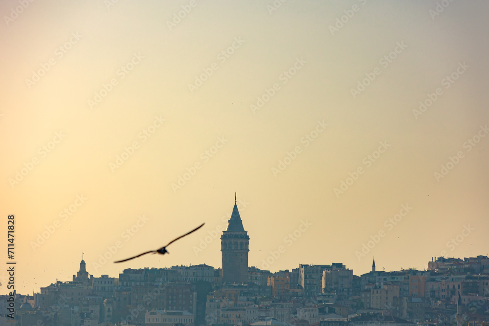 Istanbul background photo. Galata Tower and a seagull at sunset