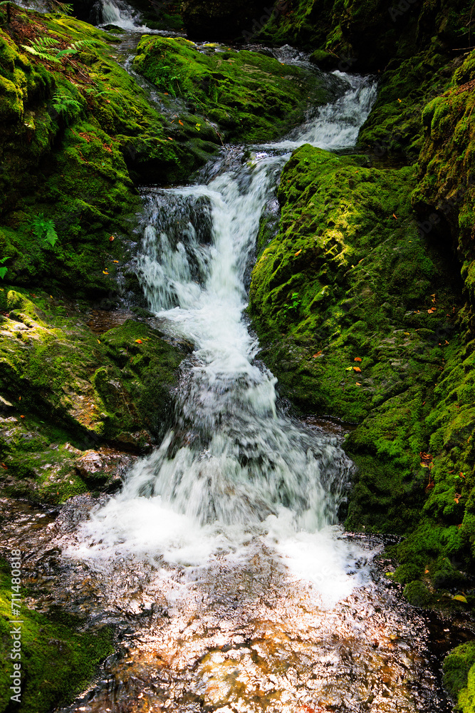 Naklejka premium Wasserfall