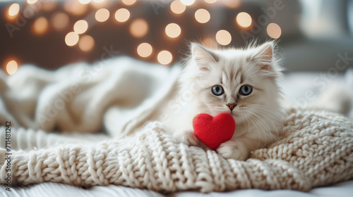 A fluffy Valentine's Day gift. Cute fluffy white kitten playing With Red Heart Valentine's card on white plaid. Valentine's card in the paws of a kitten. Valentines Day background. Generative Ai
