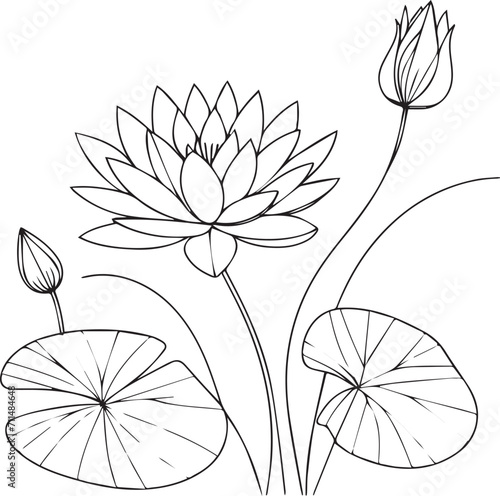 Topical waterlily coloring pages. waterlily line art, waterlily tattoo designs, Realistic flower coloring pages, lotus vector sketch, traditional waterlily tattoo, Nymphaea water lily tattoo