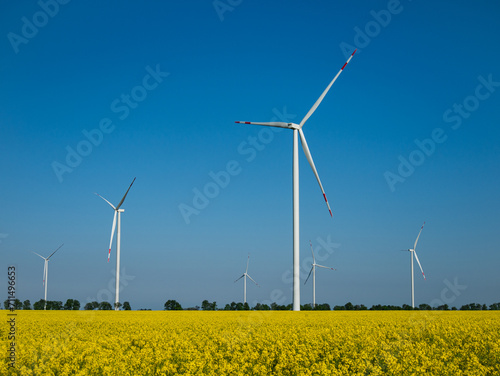 Wind Turbines of Alternative Energy Production in Rapeseed Field. View of Wind Turbine Providing Sustainable Energy by Spinning Blades. Natural Renewable Wind Resources on colza field 