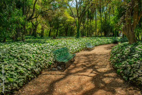 garden in the park