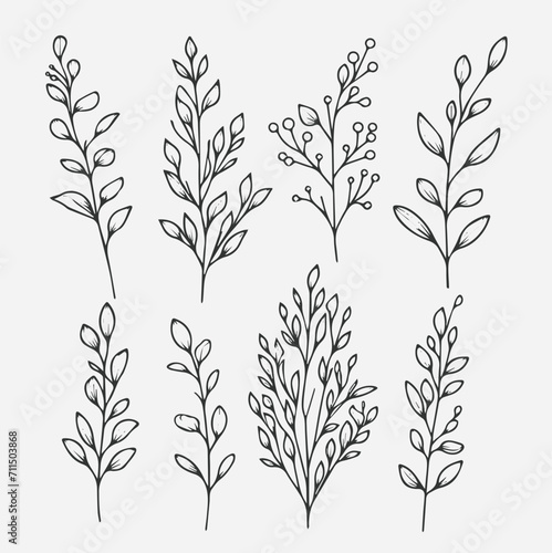 Set of hand drawn doodle branches and leaves. Vector illustration.