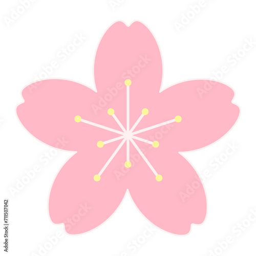 Sakura, cherry, plum, apricot, peach, apple blossom, flower, bloom, isolated. Floral design element, logo, icon. Line art style vector illustration. Spring promotion, seasonal sale, advertising