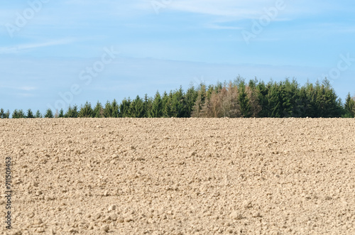 Barren agricultural field and forest in the rural countryside
