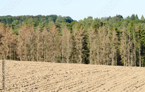 Barren agricultural field and forest in the rural countryside