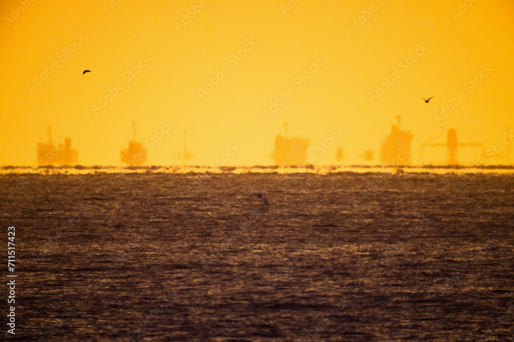 朝日を浴びる水平線の船影と鳥たち20201122