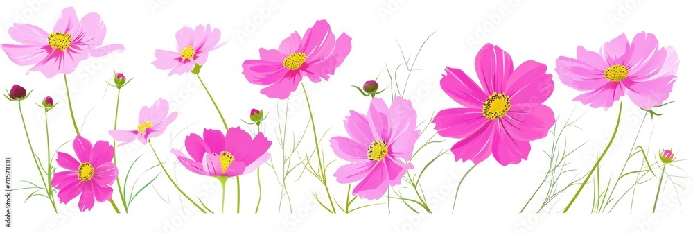 A group of pink flowers on a white background. A group of pink flowers on a white background.