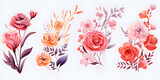 Set of watercolor florals on a white background, brushwork