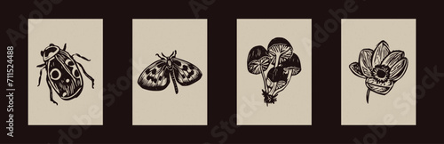 Handmade linocut bug, butterfly motif clipart in folkart scandi style. Set of simple monochrome block print mushroom flower shapes with woodcut paper texture effect.