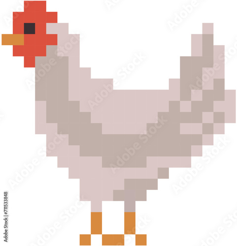 chicken vector in pixels