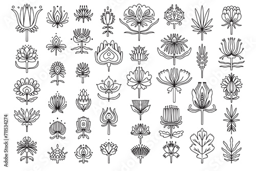 Big set of folk style linear simmetrical flowers. Simple hand drawn outline doodle illustration. Stylized decorative floral elements for tatoo, stationery, cards. Traditional decor. Vector botany set