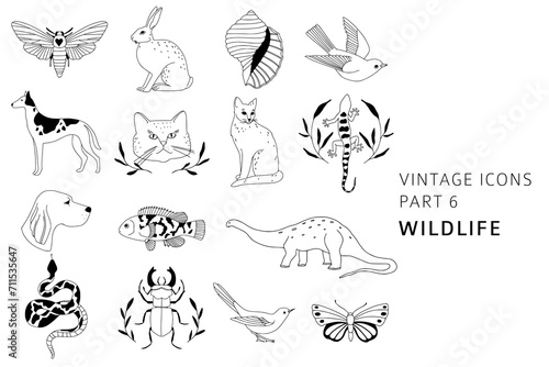 Vintage style hand drawn wildlife elements collection: cat, dog, rabbit, bird. Linear icons for logo, brand design, pet shop. Bohemian line art animals and insects elements. Elegant outline vector set