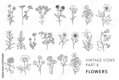 Vintage style hand drawn flower collection. Linear floral icons for logo, brand design, plant shop, wedding invitations. Bohemian line art botany elements. Elegant outline spring or summer vector set