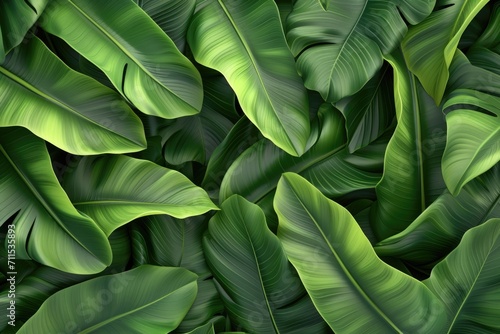 green ribbed plantain  plant  beautiful floral background  3d render
