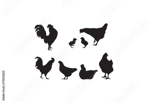 collection of male and female chickens vector icon logo illustration white background