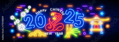 Chinese zodiac sign, snake symbol of Eastern Asian horoscope, isolated icon vector.