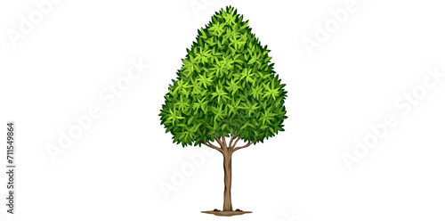 Realistic Landscape Tree On White Background. 