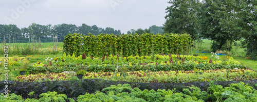 Open day and guided tour in Urban community garden Het Lichtveen in Bennekom Gelderland province in The Netherlands photo