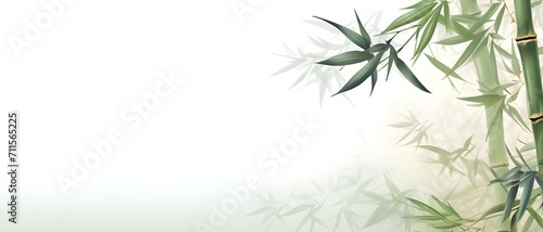 bamboo background with grass