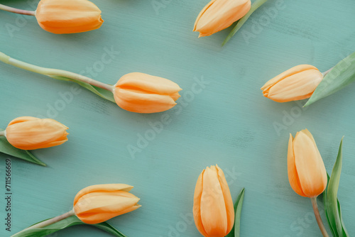 Beautiful fresh orange tulip flowers in full bloom on pastel turquoise background  top view. Minimalist flat lay with spring blooms.