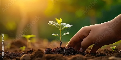 Nurturing nature future. Child hopeful act of planting small seedling embracing concept of environmental sustainability and eco friendly agriculture to care for green earth one sprout at time photo
