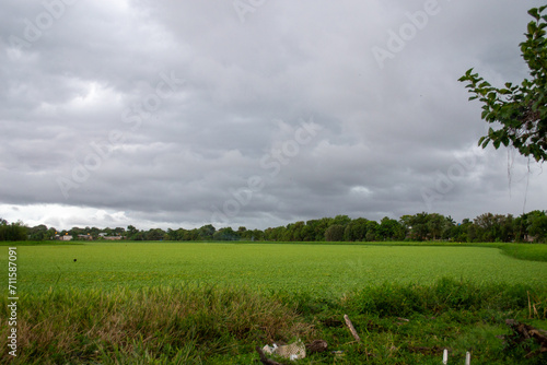 Cielo nubes verdes