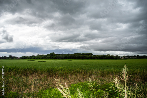 Cielo nubes verde