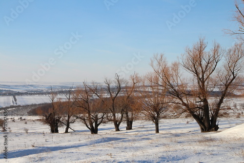 A snowy landscape with trees and a rainbow in the sky