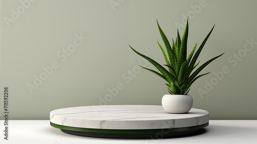Botanical succulent potted marble texture stage podium mockup