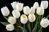 Decorative white tulips isolated on black background