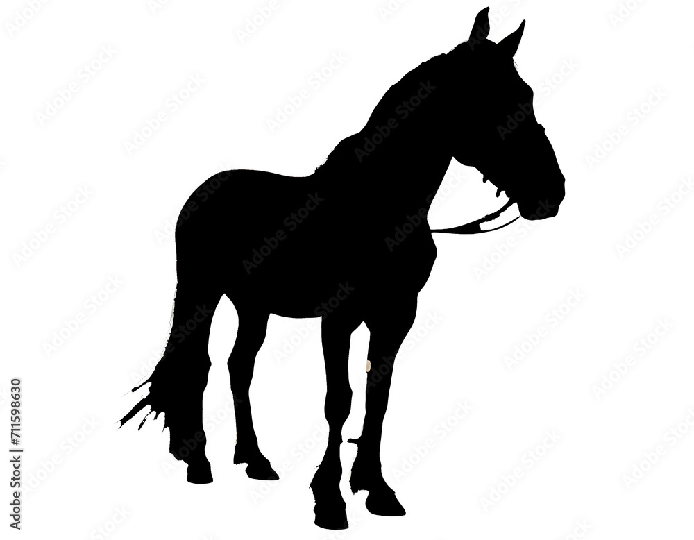 Obraz premium horse silhouette isolated on white background